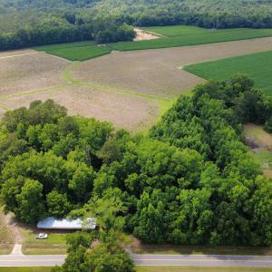 Photo #1 of TBD (Tract 4 R) Long Branch Swamp Rd., Green Sea, SC 22.0 acres
