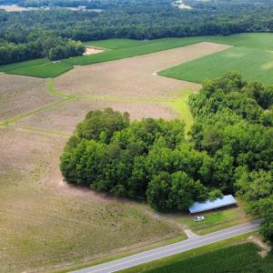 Photo #4 of TBD (Tract 4 R) Long Branch Swamp Rd., Green Sea, SC 22.0 acres