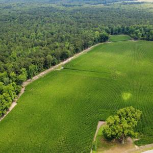 Photo #1 of TBD (Tract 6) Long Branch Swamp Rd., Green Sea, SC 60.0 acres