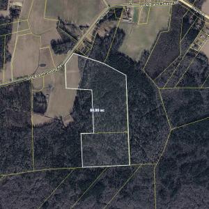 Photo #4 of TBD (Tract 6) Long Branch Swamp Rd., Green Sea, SC 60.0 acres