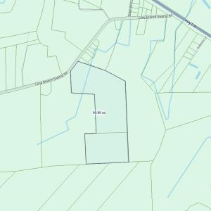 Photo #3 of TBD (Tract 6) Long Branch Swamp Rd., Green Sea, SC 60.0 acres