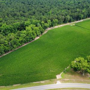 Photo #2 of TBD (Tract 6) Long Branch Swamp Rd., Green Sea, SC 60.0 acres