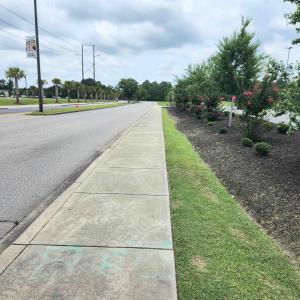 Photo #12 of Lot 10 Mill Pond Rd., Conway, SC 0.4 acres