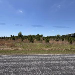 Photo #5 of Lot 3 Attadale Rd, Blenheim, SC 14.1 acres
