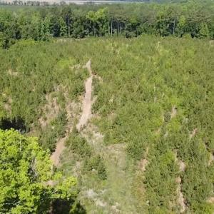 Photo #3 of Lot 3 Attadale Rd, Blenheim, SC 14.1 acres