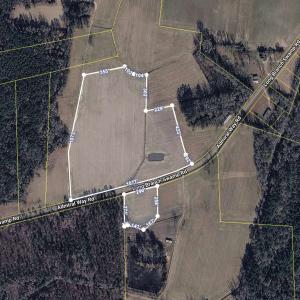 Photo #3 of TBD (Tract 3) Long Branch Swamp Rd., Green Sea, SC 20.0 acres