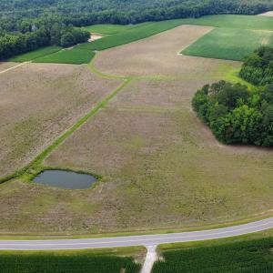 Photo #1 of TBD (Tract 3) Long Branch Swamp Rd., Green Sea, SC 20.0 acres