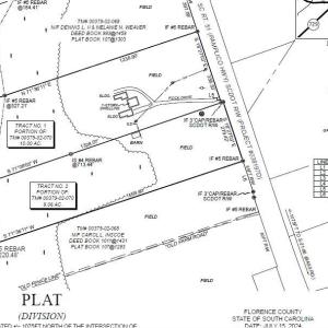 Photo #2 of 1829 Pamplico Hwy., Pamplico, SC 9.1 acres