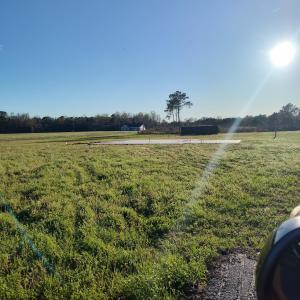 Photo #5 of 1829 Pamplico Hwy., Pamplico, SC 9.1 acres
