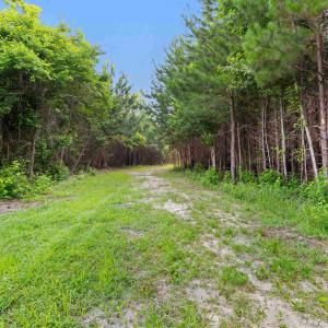 Photo #16 of 77 Acres - TBD Bert Hanna Rd., Johnsonville, SC 76.9 acres