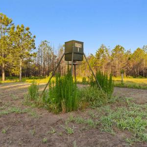 Photo #8 of 77 Acres - TBD Bert Hanna Rd., Johnsonville, SC 76.9 acres