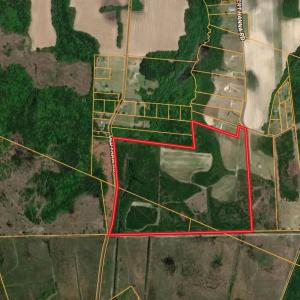 Photo #24 of 77 Acres - TBD Bert Hanna Rd., Johnsonville, SC 76.9 acres