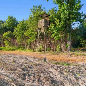 Photo #12 of 77 Acres - TBD Bert Hanna Rd., Johnsonville, SC 76.9 acres