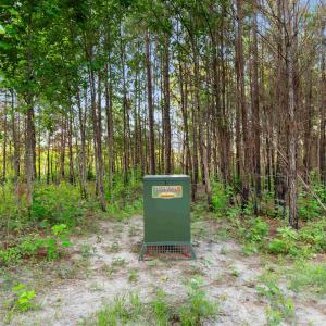 Photo #13 of 77 Acres - TBD Bert Hanna Rd., Johnsonville, SC 76.9 acres
