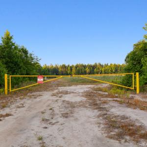 Photo #3 of 77 Acres - TBD Bert Hanna Rd., Johnsonville, SC 76.9 acres