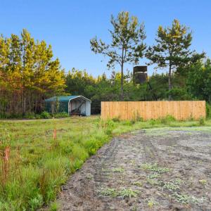 Photo #7 of 77 Acres - TBD Bert Hanna Rd., Johnsonville, SC 76.9 acres