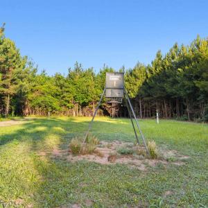 Photo #17 of 77 Acres - TBD Bert Hanna Rd., Johnsonville, SC 76.9 acres