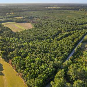 Photo #22 of 77 Acres - TBD Bert Hanna Rd., Johnsonville, SC 76.9 acres