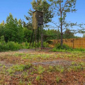 Photo #6 of 77 Acres - TBD Bert Hanna Rd., Johnsonville, SC 76.9 acres