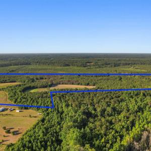 Photo #25 of 77 Acres - TBD Bert Hanna Rd., Johnsonville, SC 76.9 acres