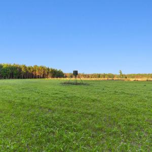 Photo #10 of 77 Acres - TBD Bert Hanna Rd., Johnsonville, SC 76.9 acres