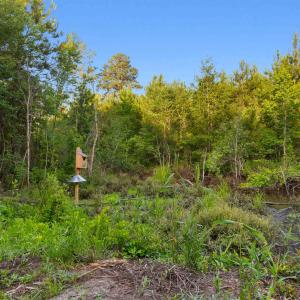 Photo #15 of 77 Acres - TBD Bert Hanna Rd., Johnsonville, SC 76.9 acres