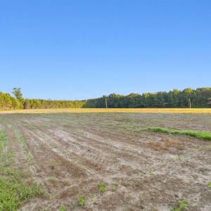 Photo #9 of 77 Acres - TBD Bert Hanna Rd., Johnsonville, SC 76.9 acres