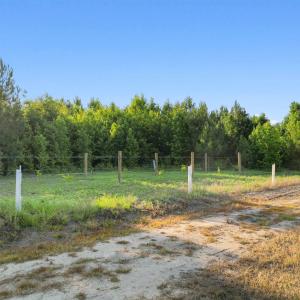 Photo #23 of 77 Acres - TBD Bert Hanna Rd., Johnsonville, SC 76.9 acres