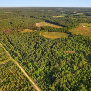Photo #21 of 77 Acres - TBD Bert Hanna Rd., Johnsonville, SC 76.9 acres