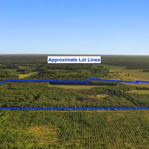 Photo #28 of 77 Acres - TBD Bert Hanna Rd., Johnsonville, SC 76.9 acres
