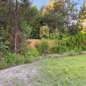Photo #18 of 77 Acres - TBD Bert Hanna Rd., Johnsonville, SC 76.9 acres