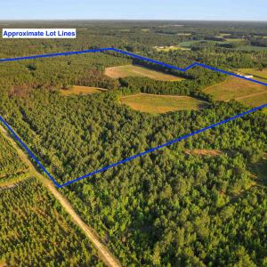Photo #27 of 77 Acres - TBD Bert Hanna Rd., Johnsonville, SC 76.9 acres