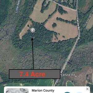 Photo #4 of tbd Not Specified, Marion, SC 7.4 acres