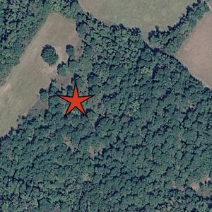 Photo #3 of tbd Not Specified, Marion, SC 7.4 acres
