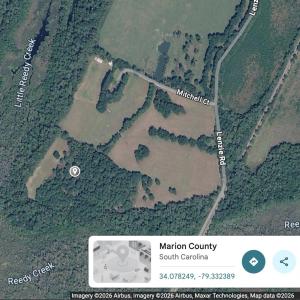 Photo #6 of tbd Not Specified, Marion, SC 7.4 acres