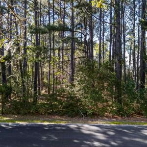 Photo #3 of Lot 18 Luvan Blvd., Georgetown, SC 0.8 acres