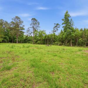 Photo #3 of 125 Old Groves Ln., Conway, SC 0.8 acres