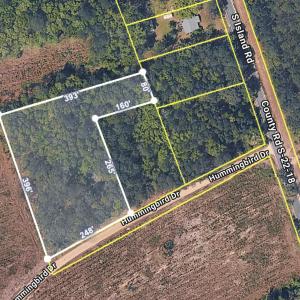 Photo #2 of TBD Hummingbird Dr., Georgetown, SC 2.0 acres