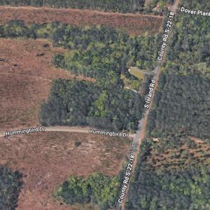 Photo #4 of TBD Hummingbird Dr., Georgetown, SC 2.0 acres