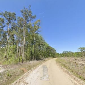 Photo #1 of TBD Hummingbird Dr., Georgetown, SC 2.0 acres