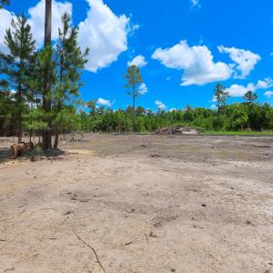 Photo #9 of Tract 4-B W G Rd., Loris, SC 7.5 acres