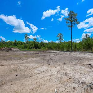 Photo #8 of Tract 4-B W G Rd., Loris, SC 7.5 acres