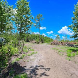 Photo #4 of Tract 4-B W G Rd., Loris, SC 7.5 acres
