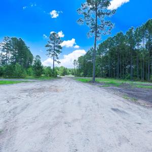 Photo #5 of Tract 4-B W G Rd., Loris, SC 7.5 acres