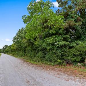 Photo #6 of Tract 2 Smith Rd., Aynor, SC 2.9 acres