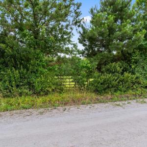 Photo #7 of Tract 2 Smith Rd., Aynor, SC 2.9 acres