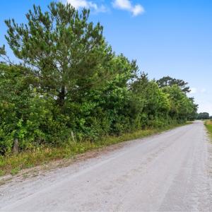Photo #5 of Tract 2 Smith Rd., Aynor, SC 2.9 acres