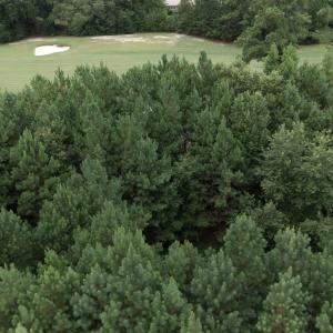 Photo #1 of 442 Pembroke Blvd., Johnsonville, SC 0.3 acres