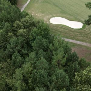 Photo #2 of 442 Pembroke Blvd., Johnsonville, SC 0.3 acres
