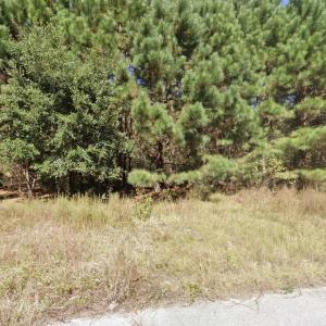 Photo #4 of 442 Pembroke Blvd., Johnsonville, SC 0.3 acres